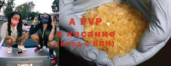 стафф Алзамай